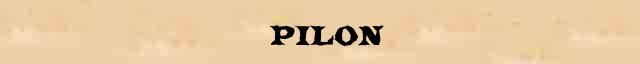  (Pilon)        